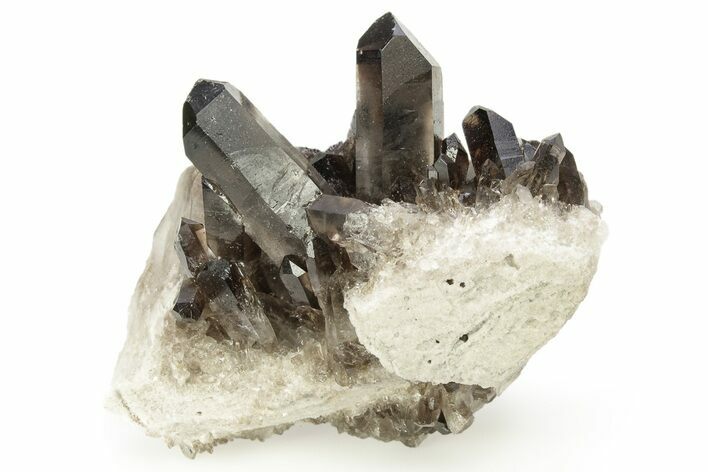 Dark Smoky Quartz Crystal Cluster - Brazil #266134